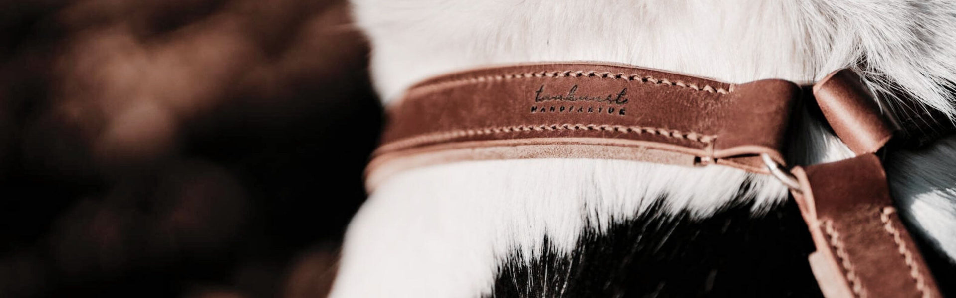 Hundegeschirr aus Leder