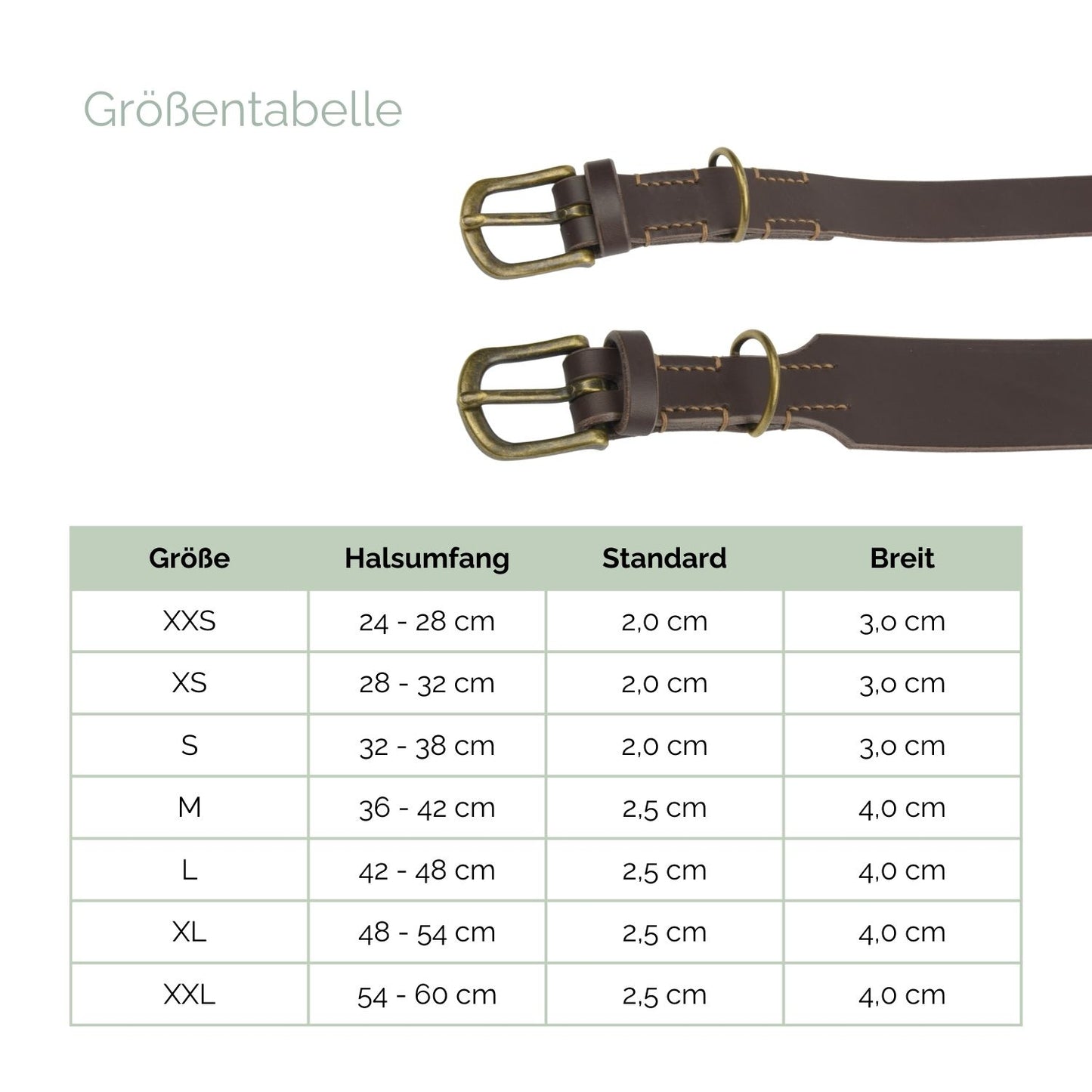 Lederhalsband 'Waldgeist' Dunkelbraun Lederhalsband 'Waldgeist' Dunkelbraun