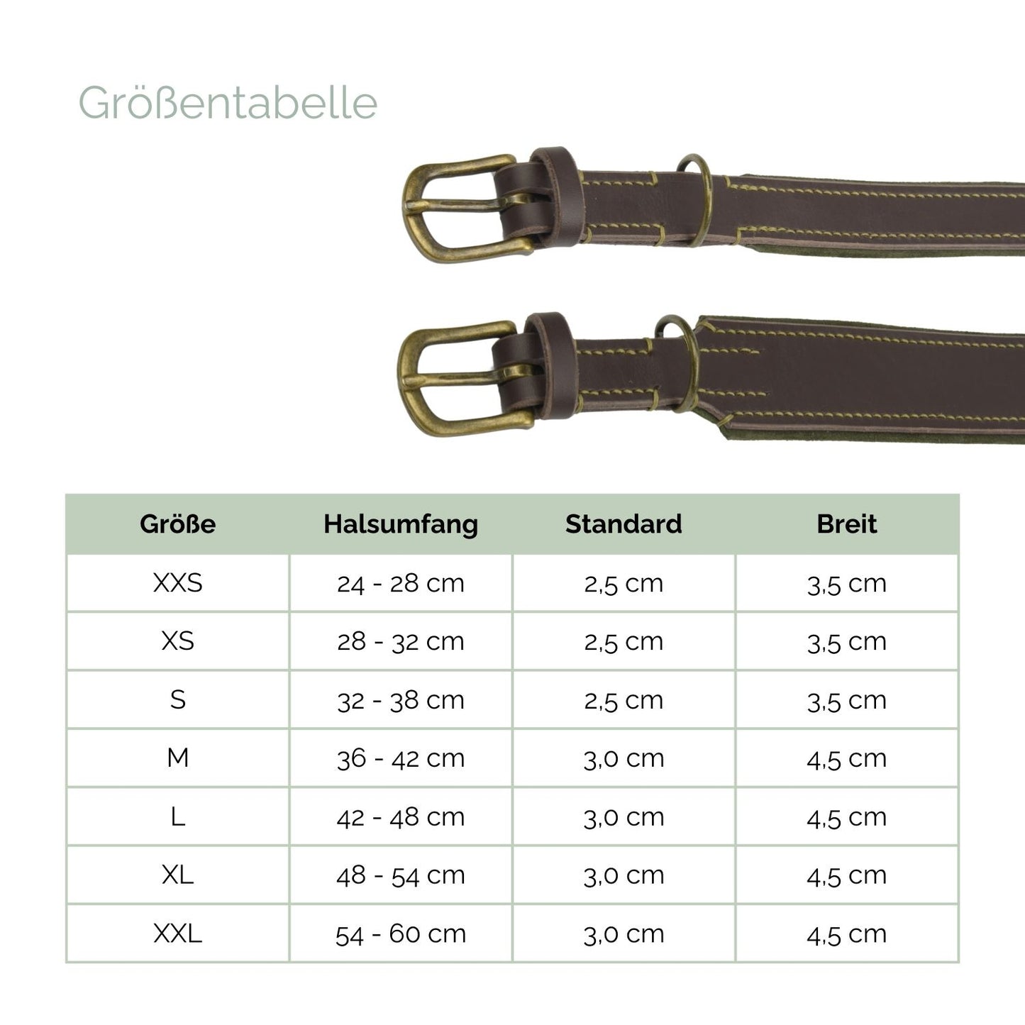Lederhalsband 'Wildfang' Lederhalsband 'Wildfang'