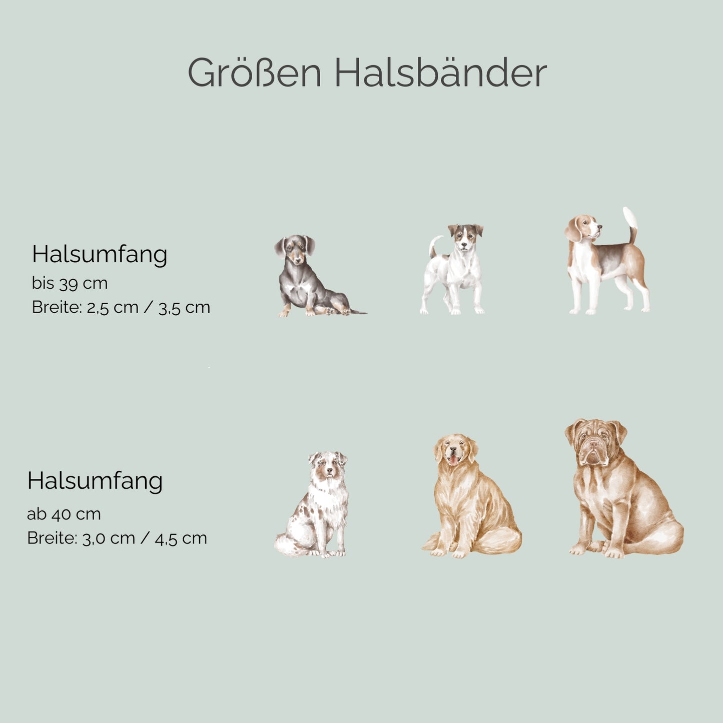 Zugstopp Lederhalsband 'Wildfang' Zugstopp Lederhalsband 'Wildfang'