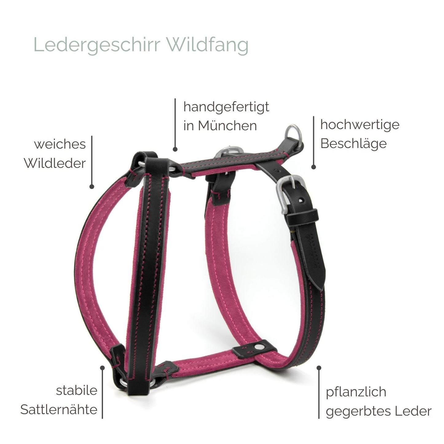 Ledergeschirr 'Wildfang' Schwarz Ledergeschirr 'Wildfang' Schwarz