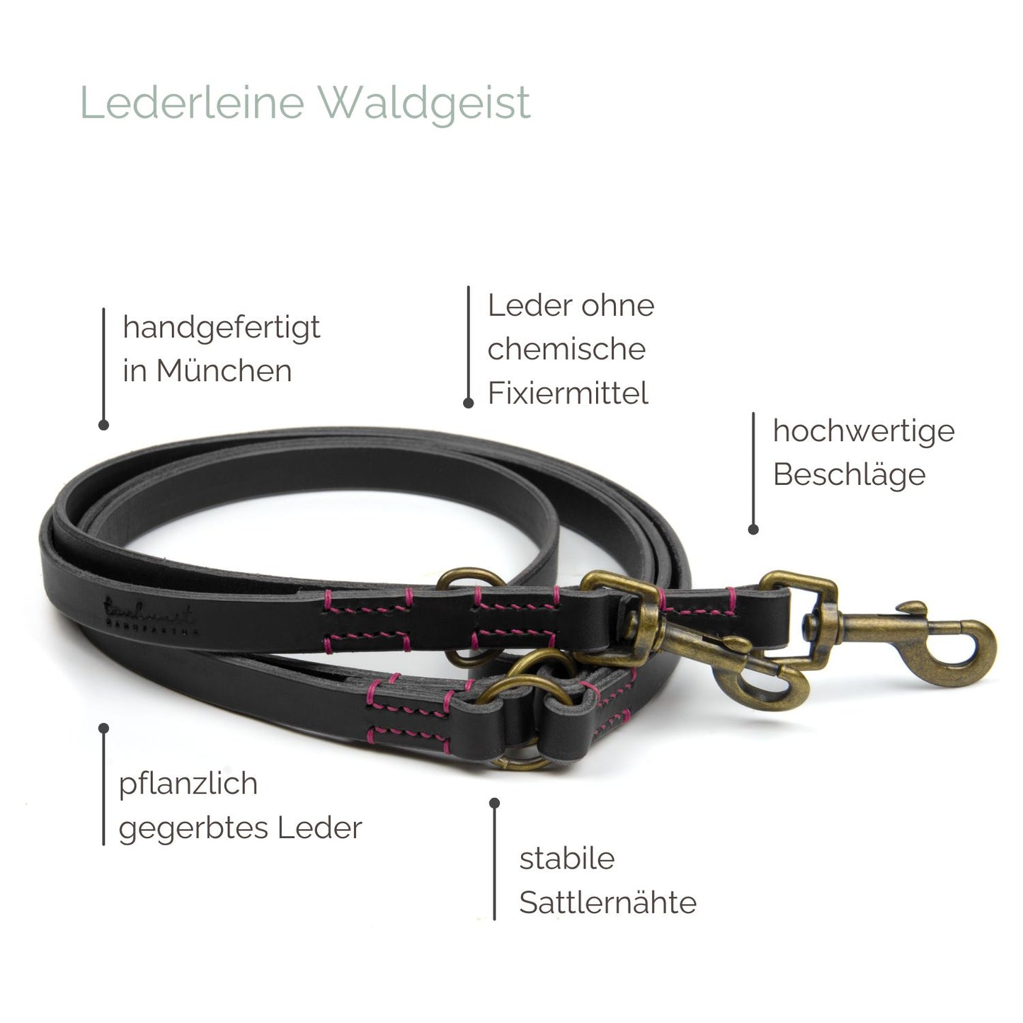 Lederleine 'Waldgeist' Schwarz Hundeleine aus Leder - Lederleine 'Waldgeist' Schwarz