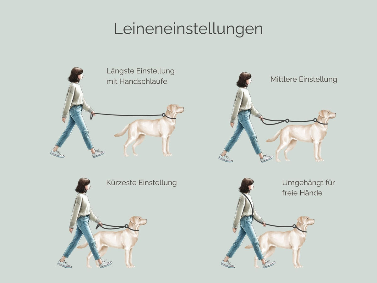 Rundlederleine 'Wildfang' Altrosa Rundlederleine 'Wildfang' Altrosa