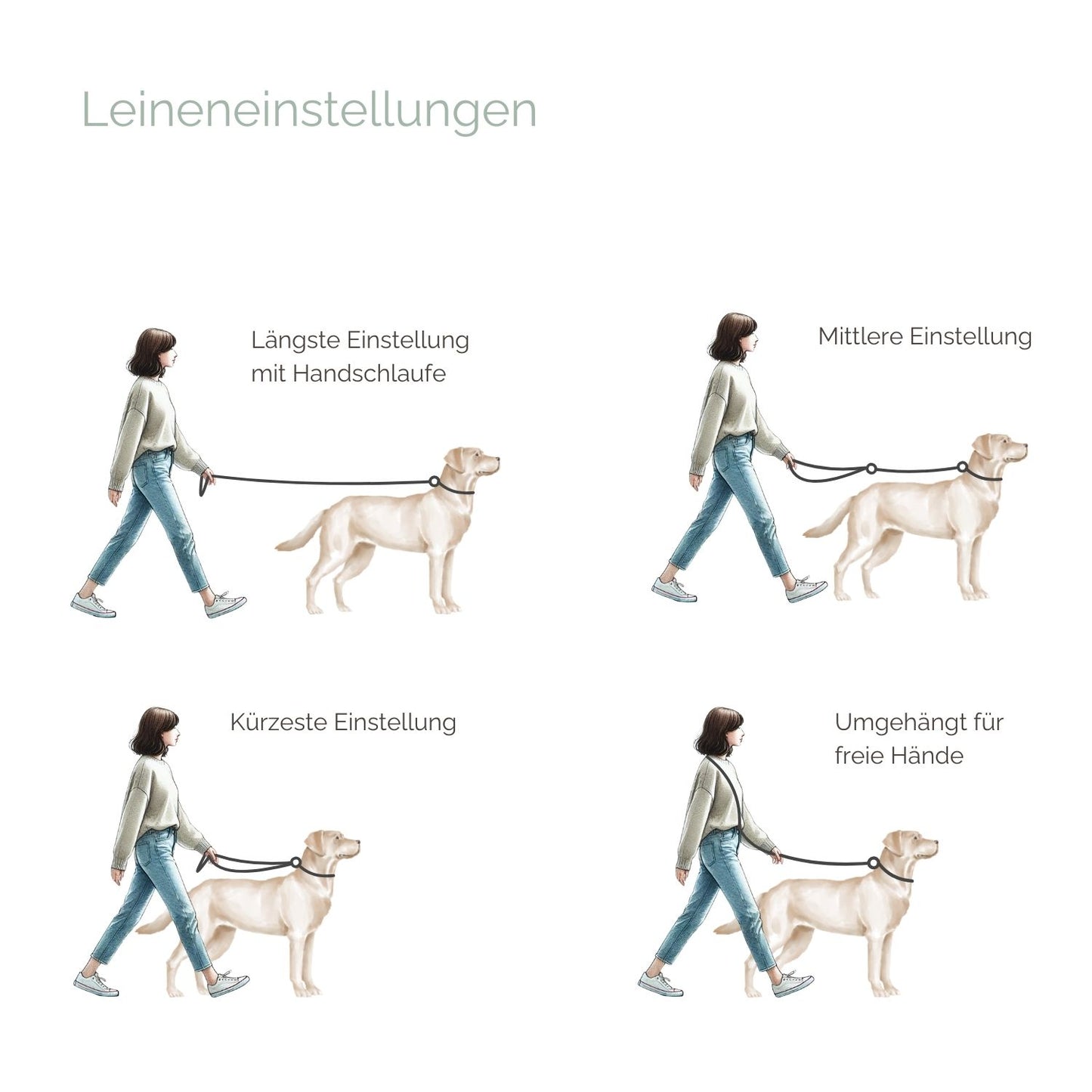 Hundeleinen Einstellmöglichkeiten Hundeleinen Einstellmöglichkeiten