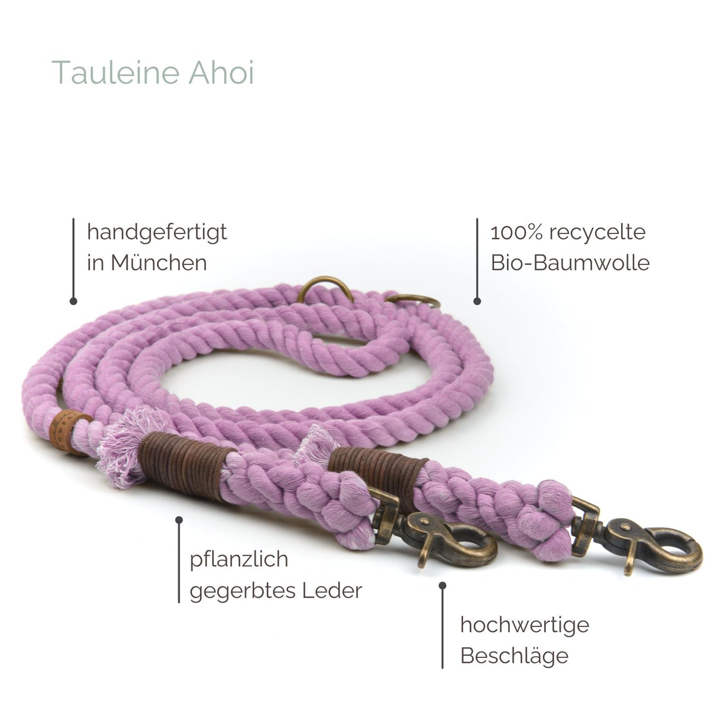 Tauleine 'Ahoi' Lavendel Tauleine 'Ahoi' Lavendel