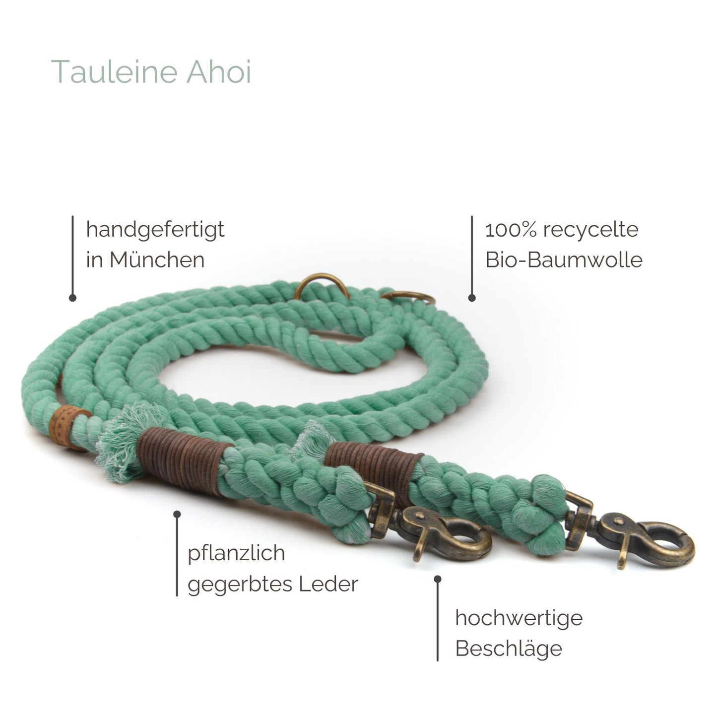 Tauleine 'Ahoi' Mint Tauleine 'Ahoi' Mint