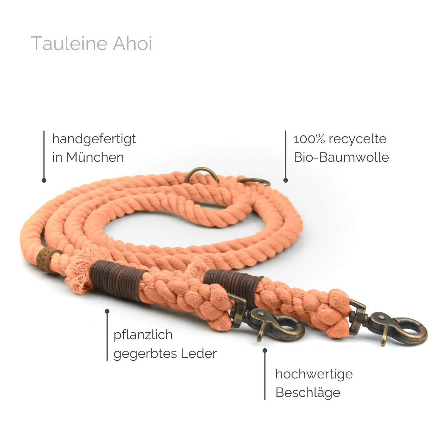 Tauleine 'Ahoi' Peach Tauleine 'Ahoi' Peach