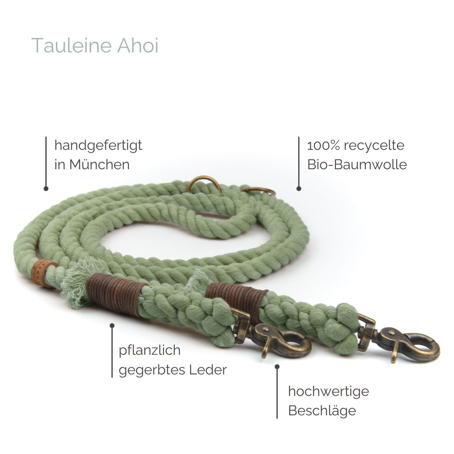 Tauleine 'Ahoi' Salbei Tauleine 'Ahoi' Salbei