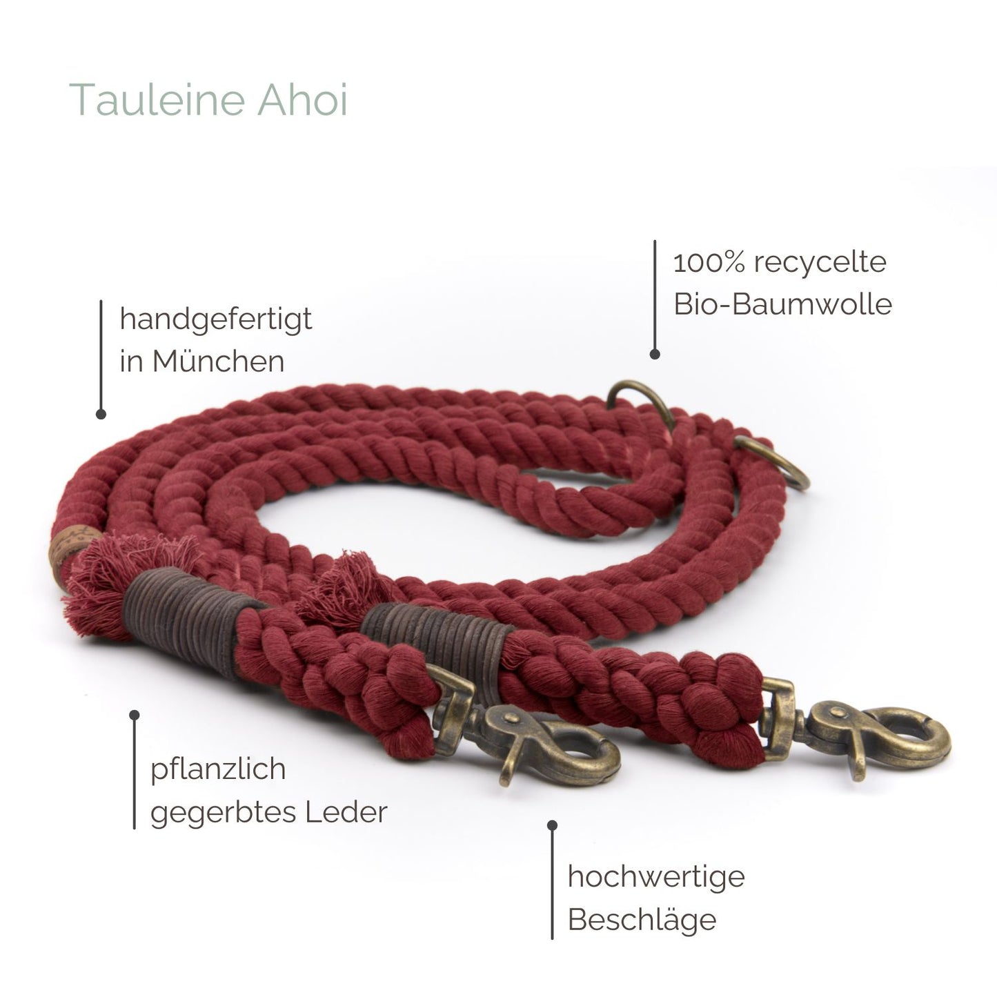 Tauleine 'Ahoi' Weinrot Tauleine 'Ahoi' Weinrot