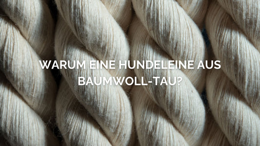 Warum eine Hundeleine aus Baumwoll-Tau
