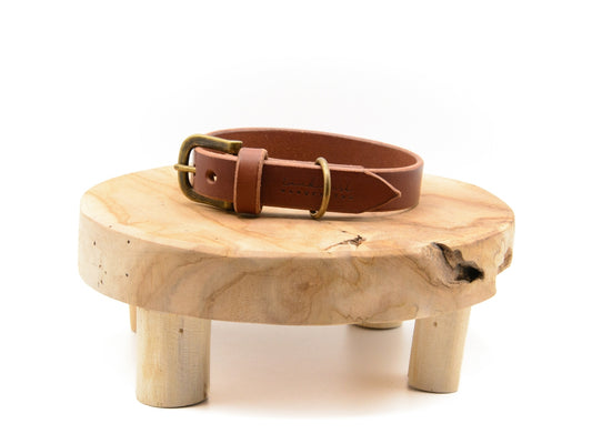 SALE | Lederhalsband 'Waldstreuner' Braun
