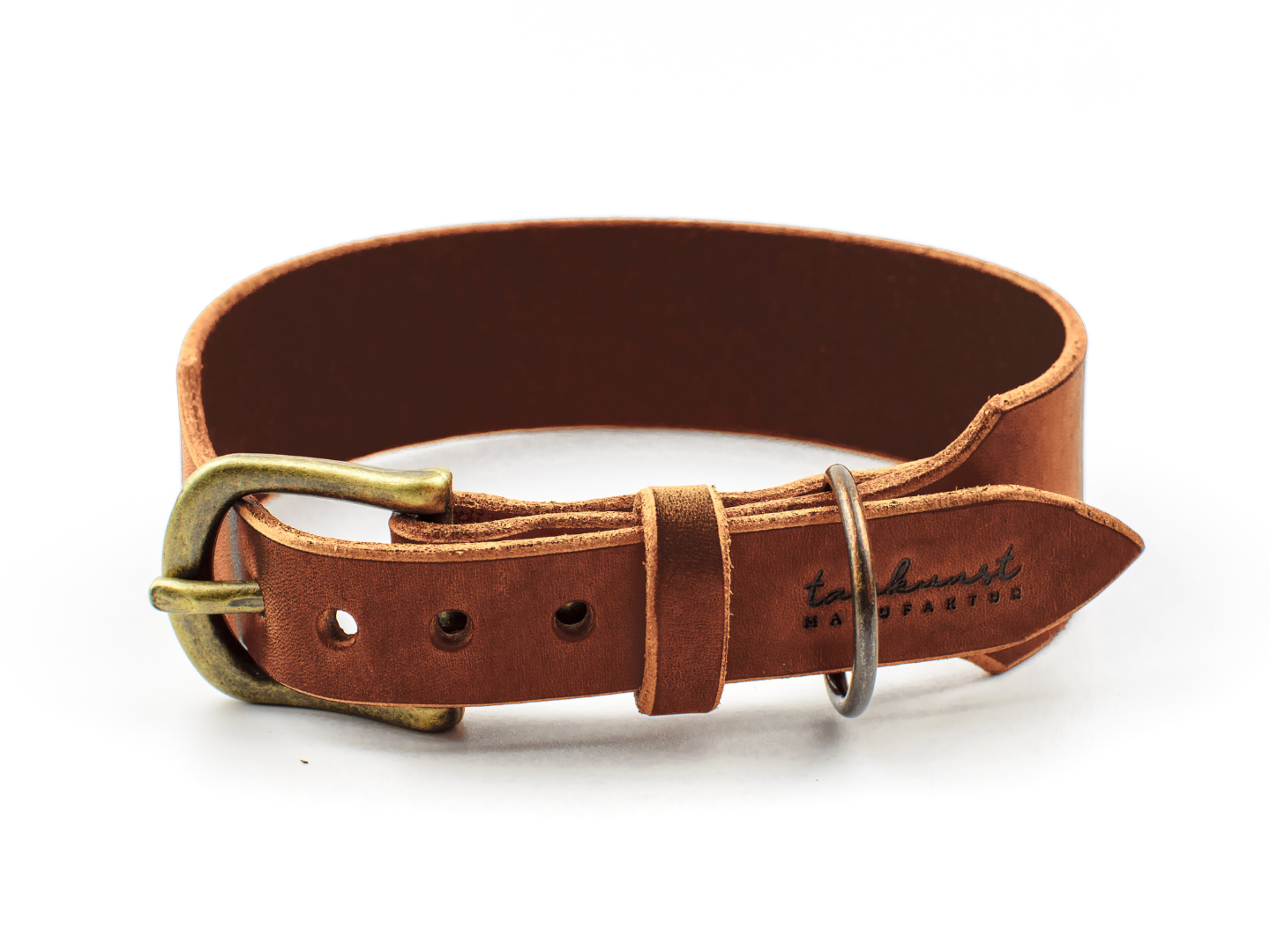 Breites Hundehalsband Leder Resi Detail