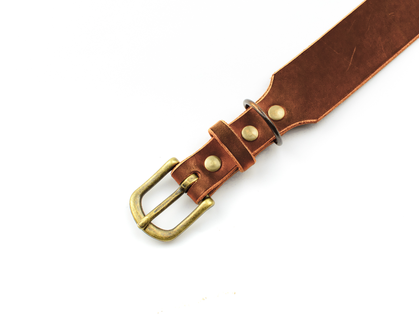 Breites Hundehalsband Leder Resi Detail 2