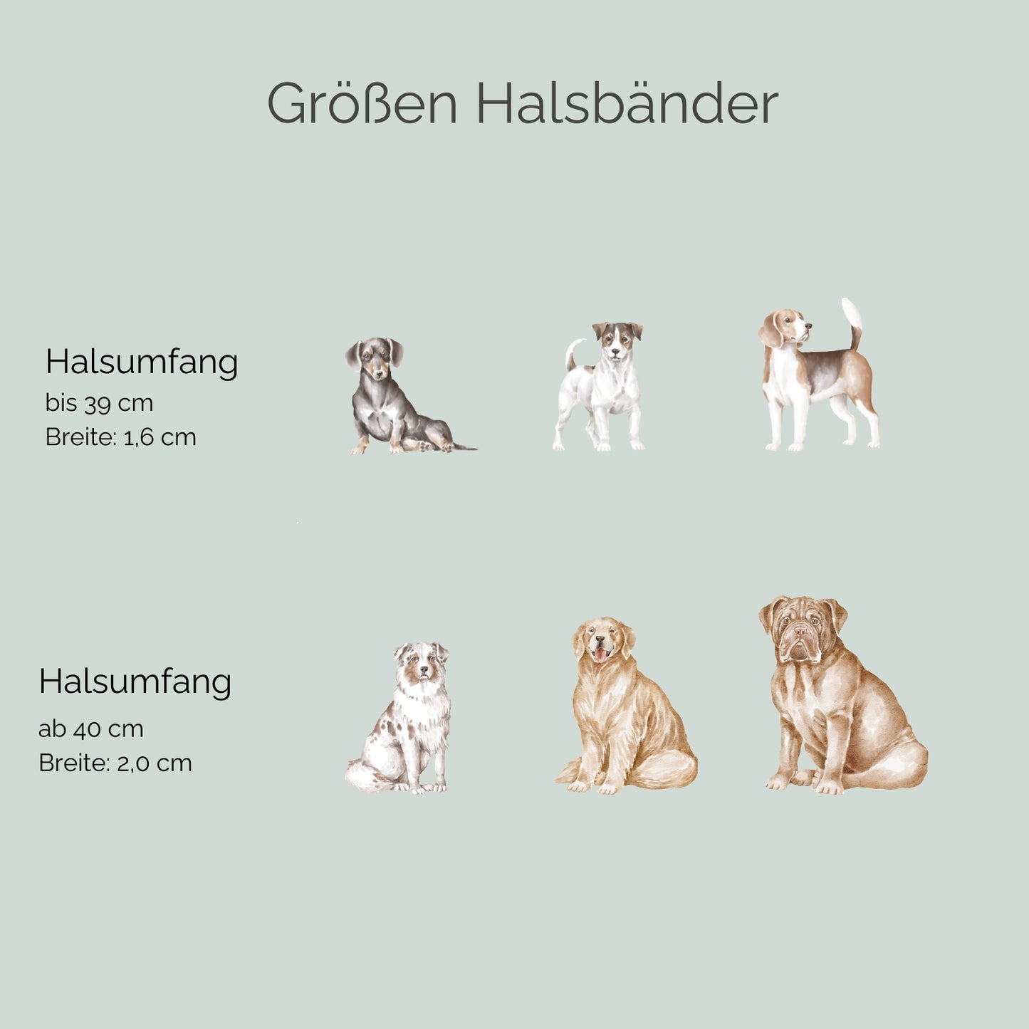 Zugstopp-Tauhalsband 'Ahoi' Braun
