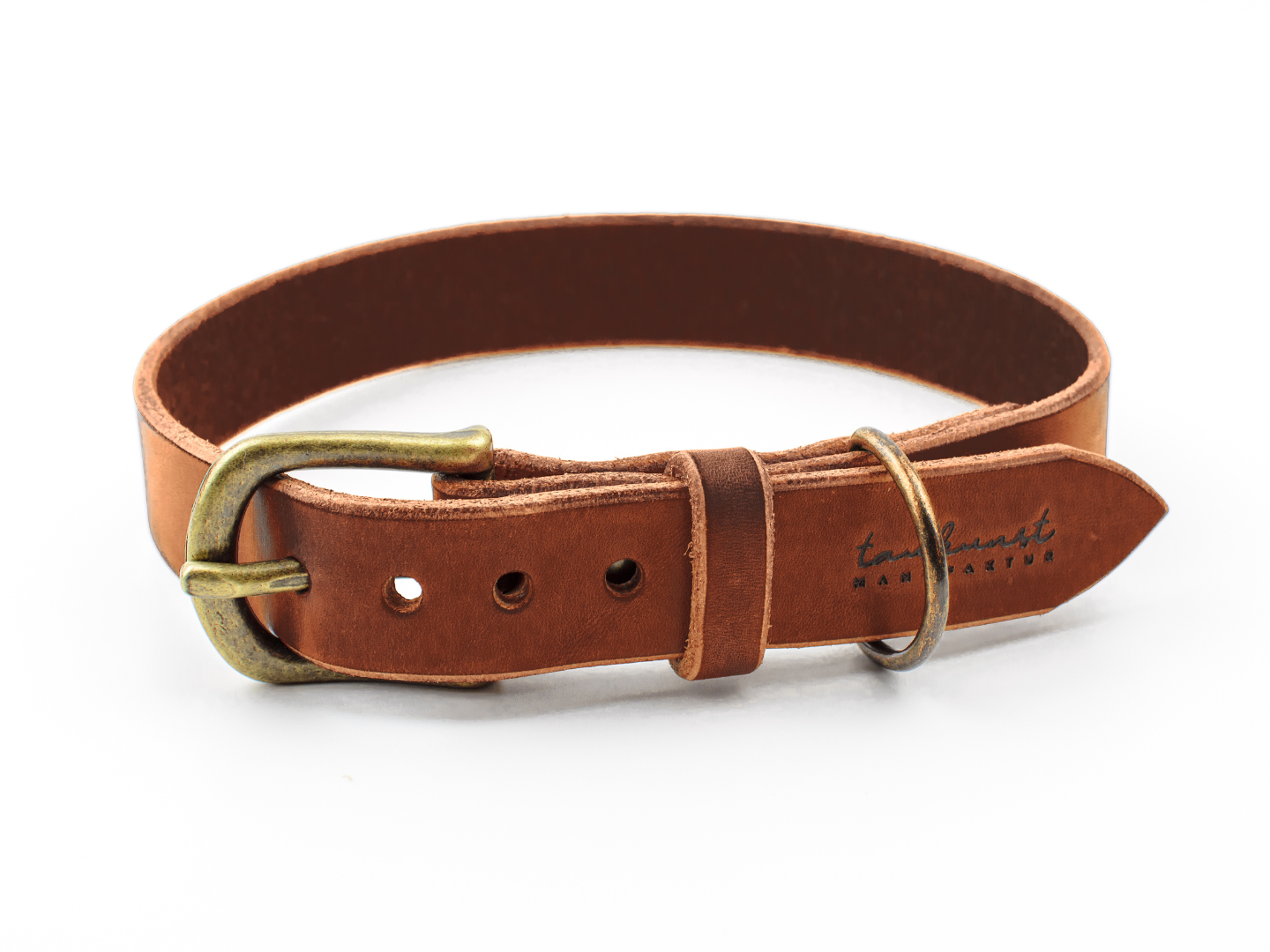 Hundehalsband Leder Resi