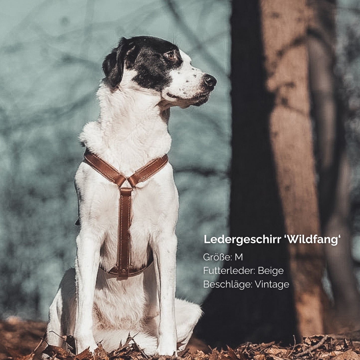 Ledergeschirr 'Wildfang' Braun
