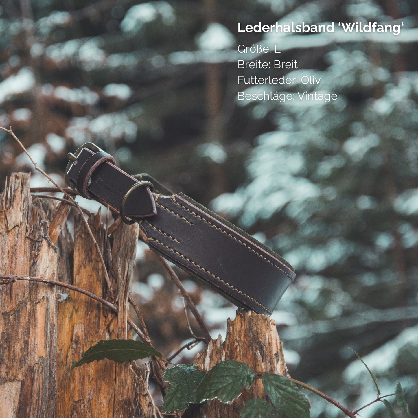 Lederhalsband 'Wildfang' Dunkelbraun
