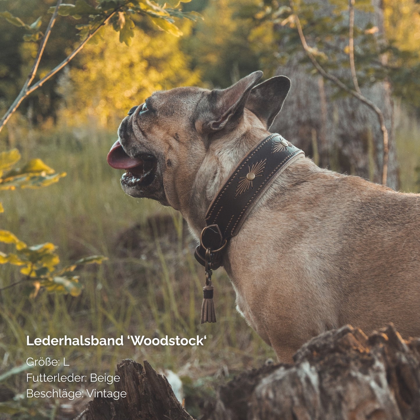 Lederhalsband 'Woodstock' Dunkelbraun
