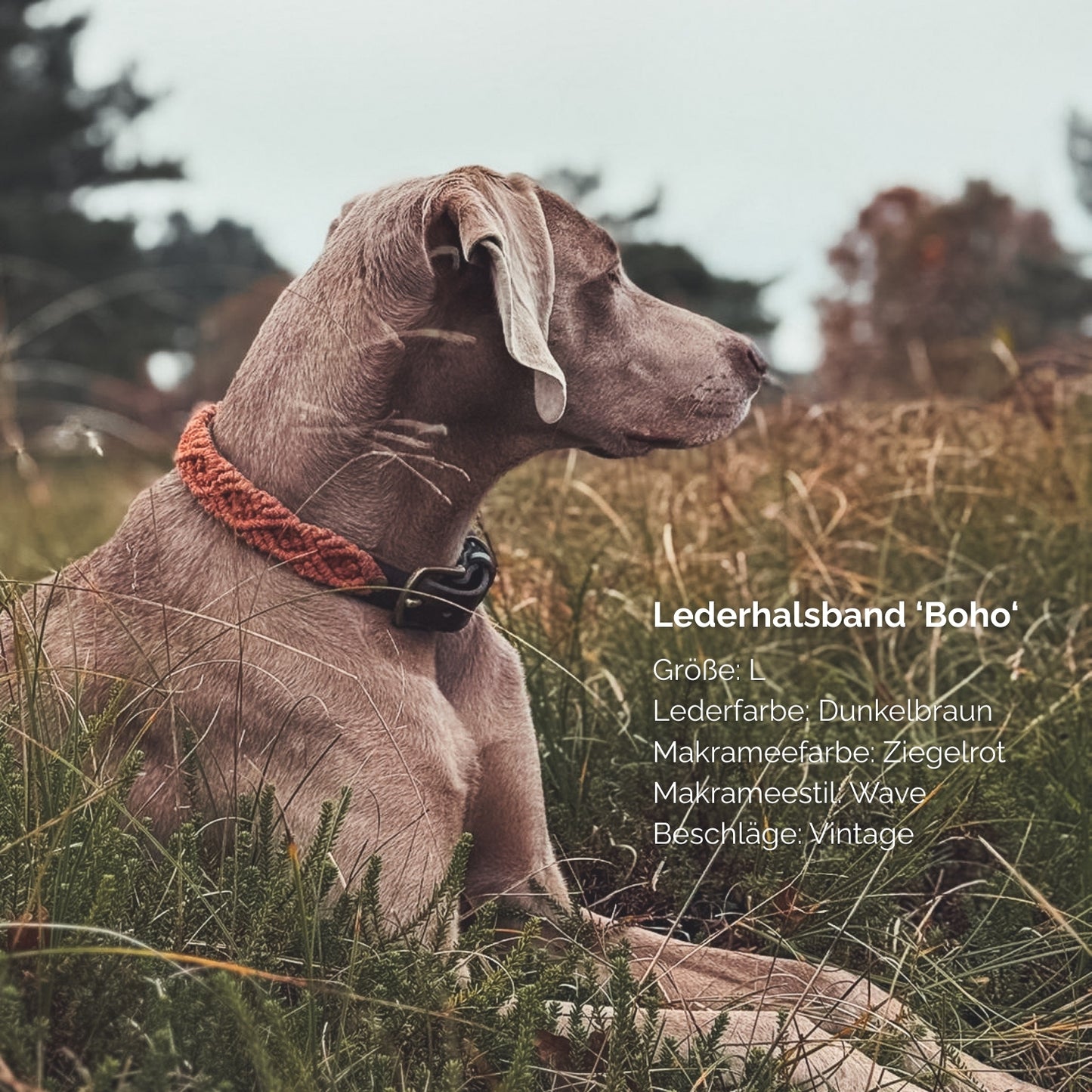 Makramee Lederhalsband 'Boho'
