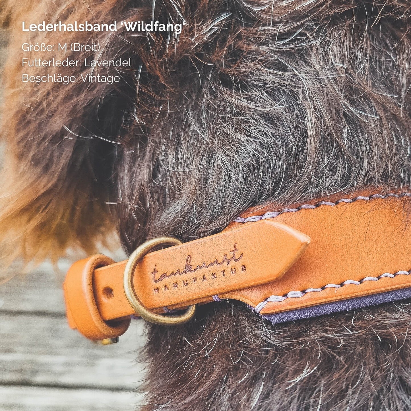 Lederhalsband 'Wildfang' Cognac
