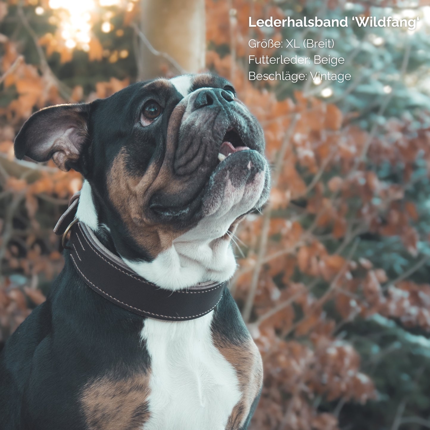 Lederhalsband 'Wildfang' Dunkelbraun
