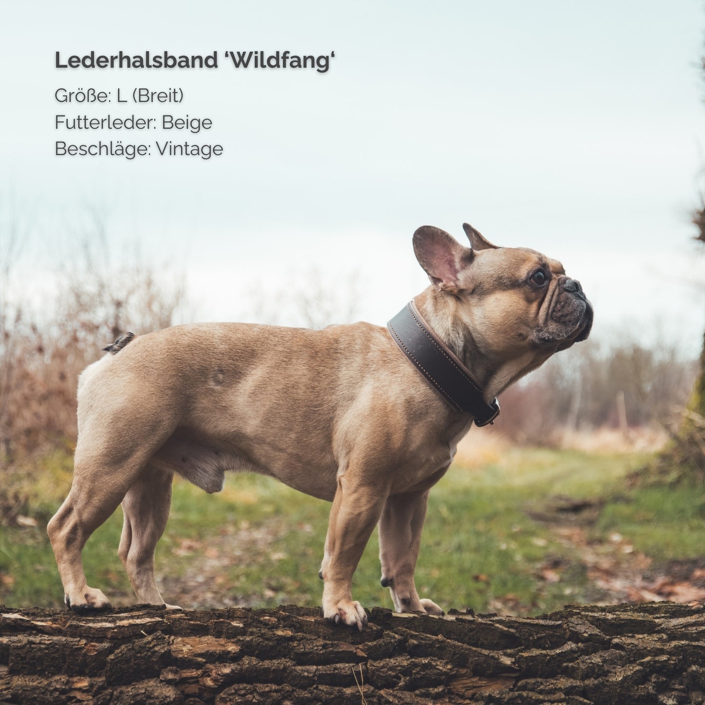 Lederhalsband 'Wildfang' Dunkelbraun
