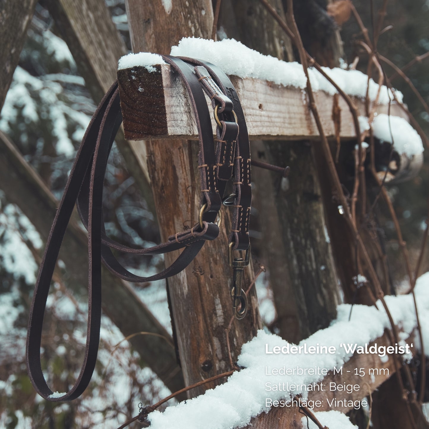Hundeleine aus Leder - Lederleine 'Waldgeist' Dunkelbraun

