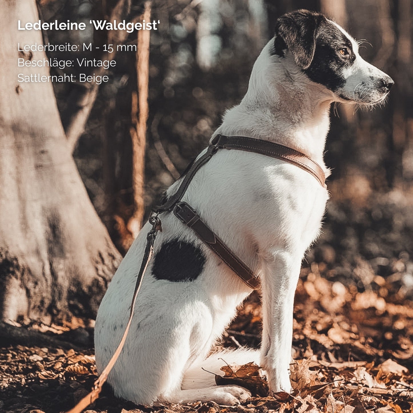 Hundeleine aus Leder - Lederleine 'Waldgeist' Braun
