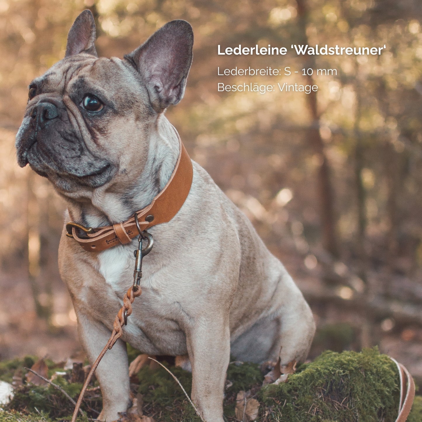 Hundeleine aus Leder - Lederleine 'Waldstreuner' Cognac
