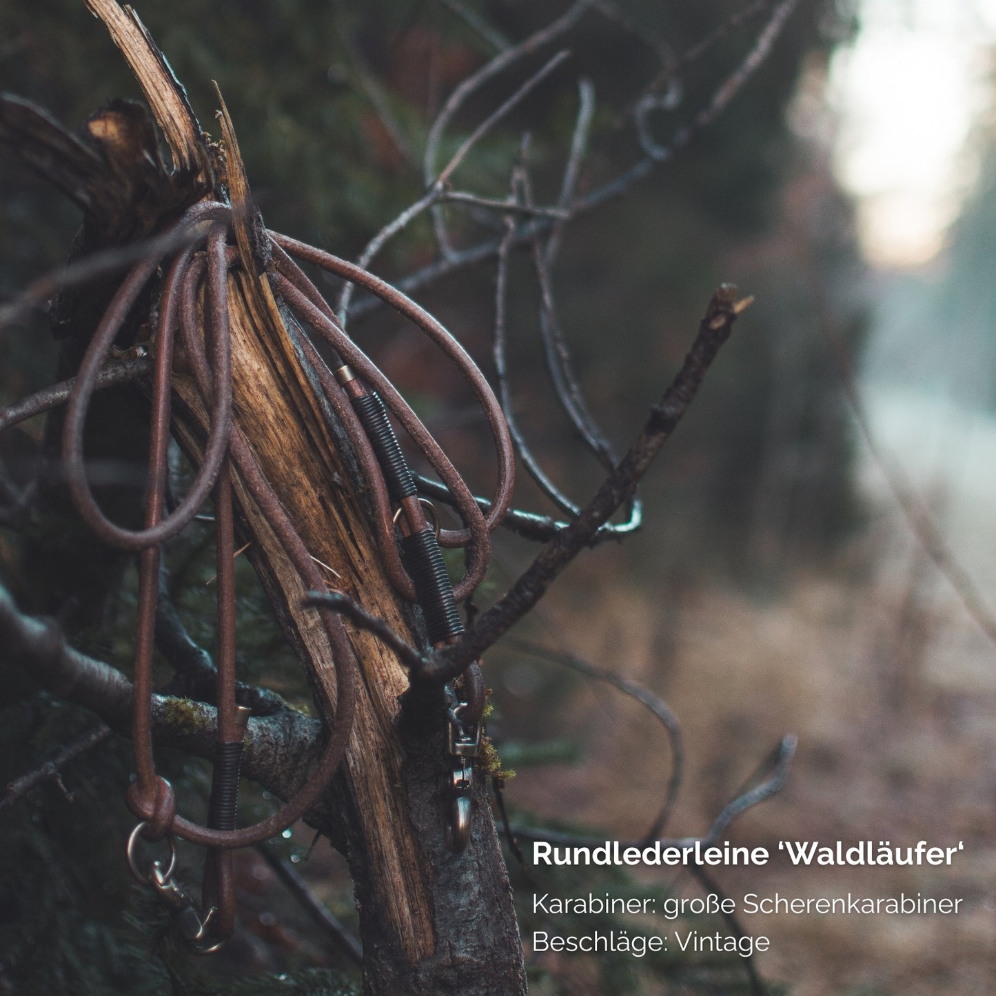 Rundlederleine 'Waldläufer' Braun
