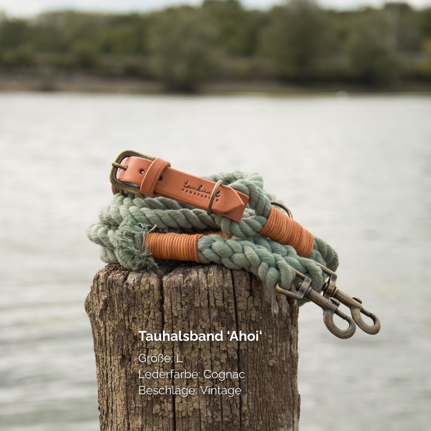 Tauhalsband 'Ahoi‘ Salbei
