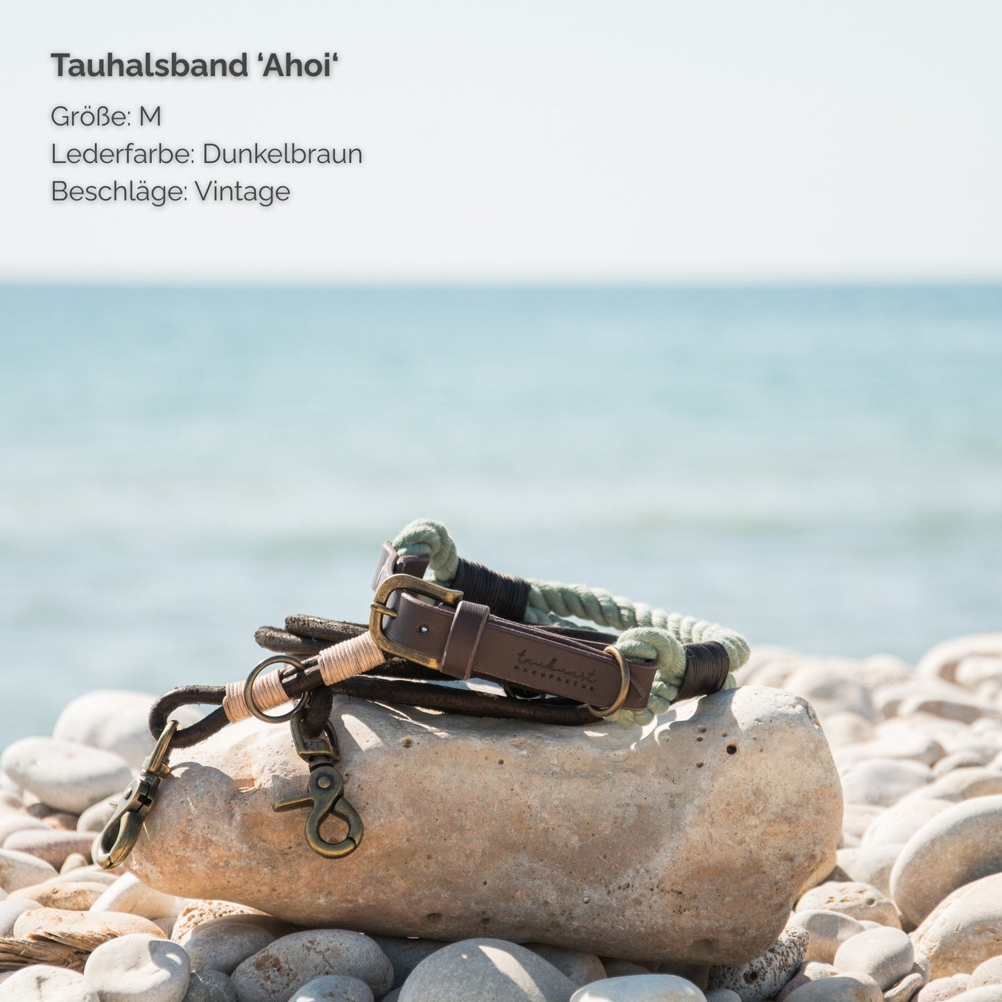 Tauhalsband 'Ahoi‘ Salbei
