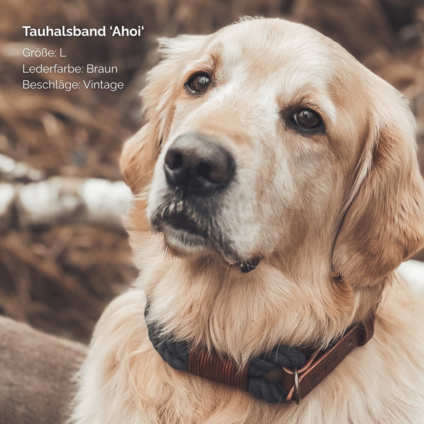 Tauhalsband 'Ahoi‘ Schwarz
