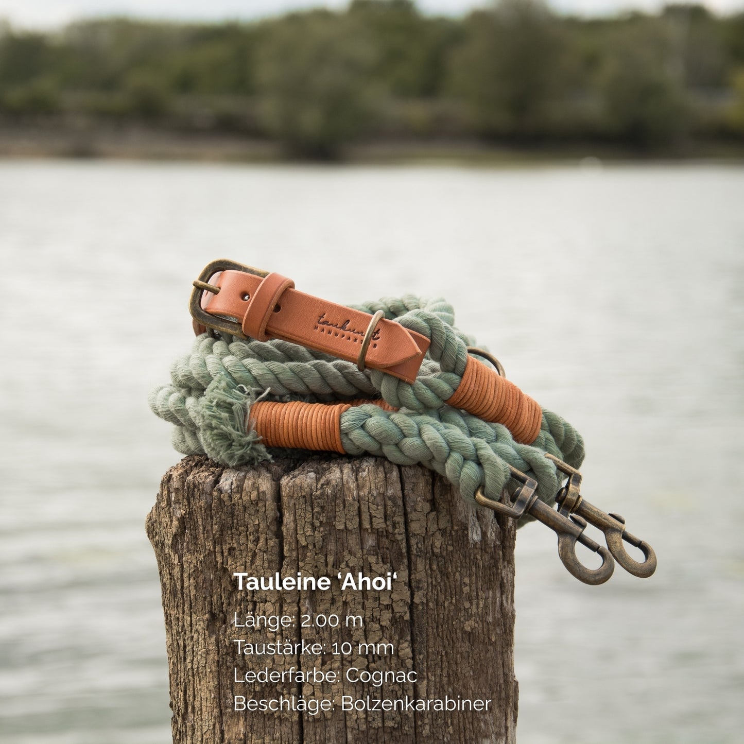 Tauleine 'Ahoi' Salbei
