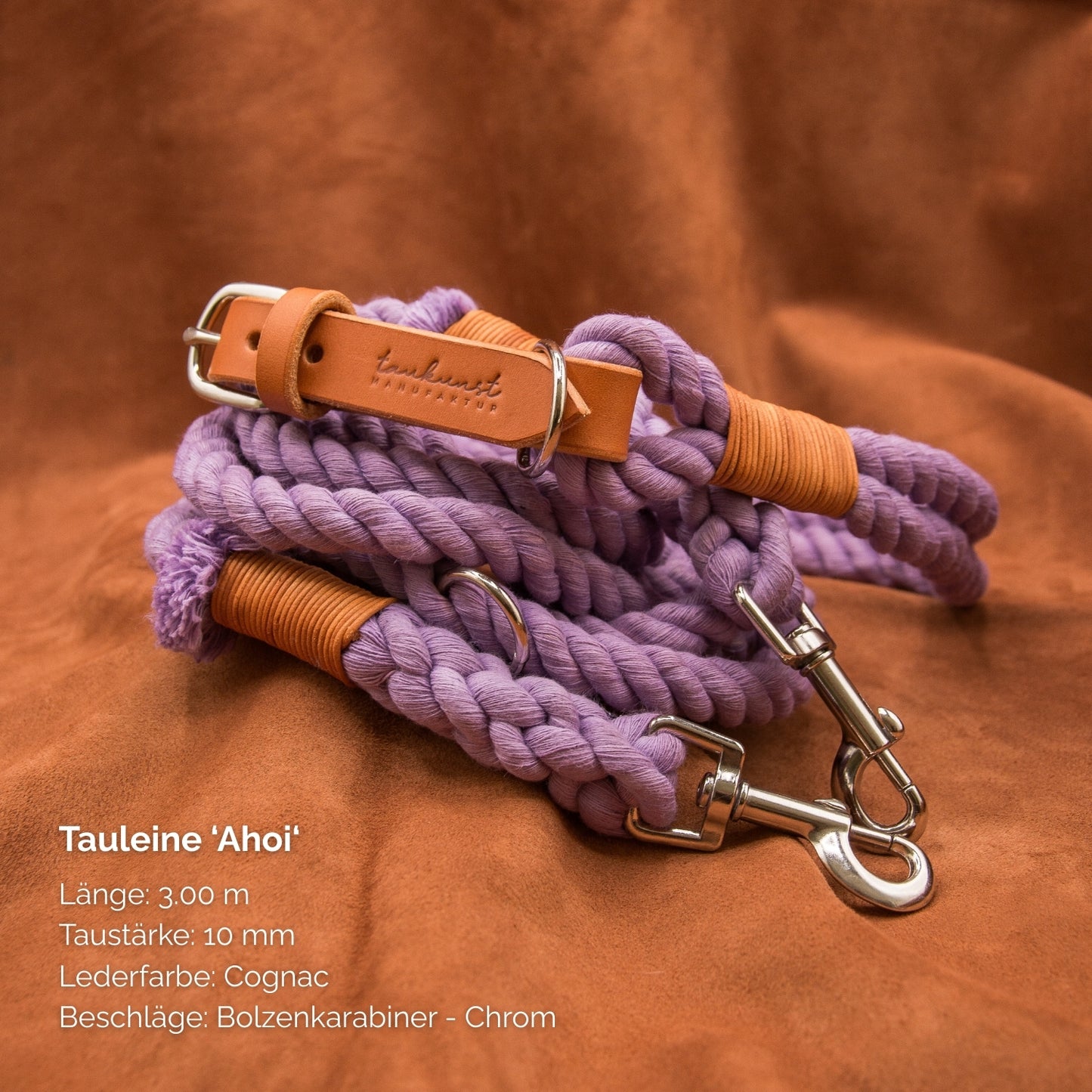 Tauleine 'Ahoi' Lavendel
