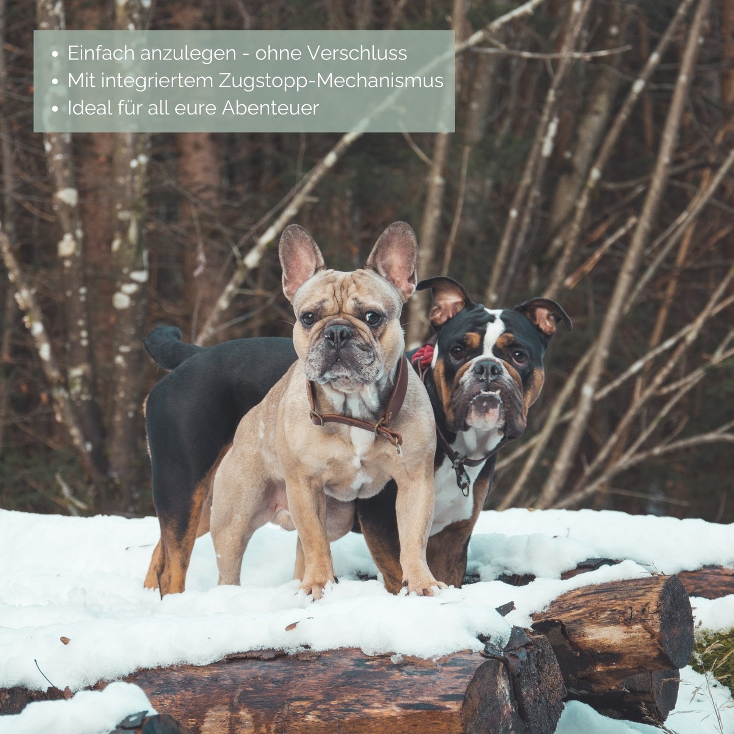 Zugstopp-Tauhalsband 'Ahoi' Braun
