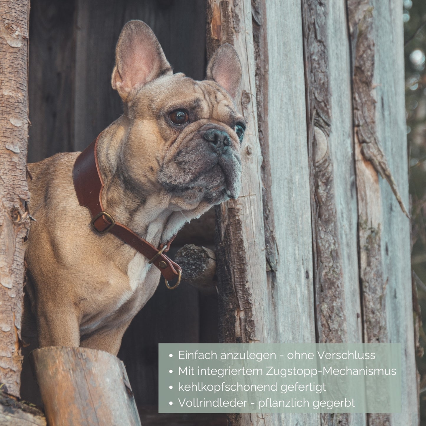 Zugstopp Lederhalsband 'Waldstreuner' Camel
