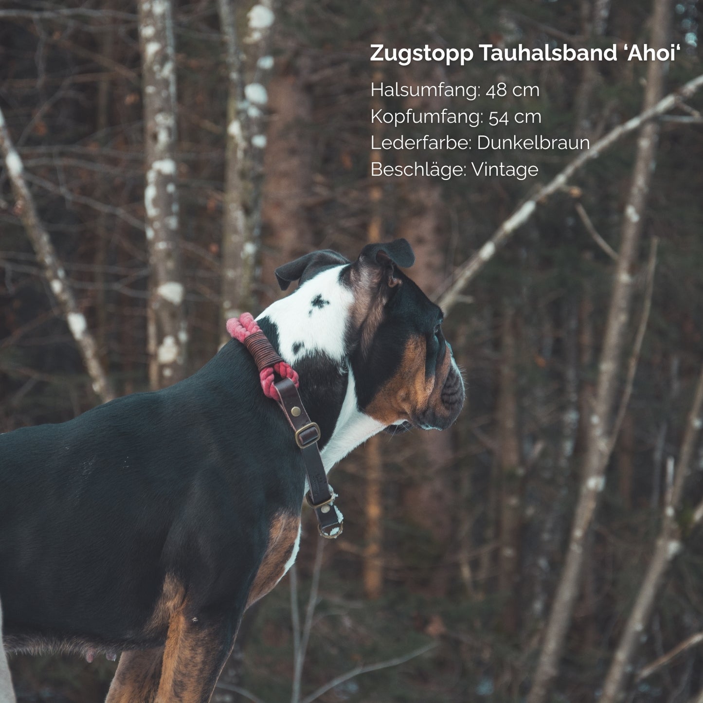 Zugstopp-Tauhalsband 'Ahoi' Weinrot
