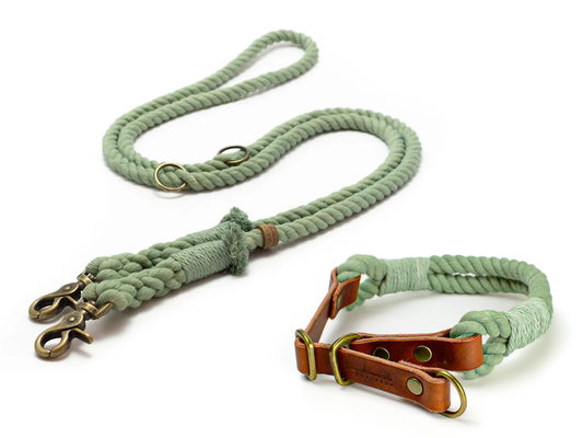 Zugstopp Halsband und Leine Tau Basil