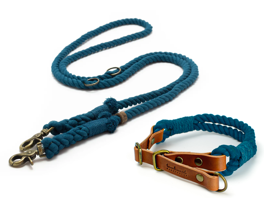 Zugstopp Halsband und Leine Tau Rain