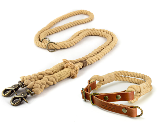 Zugstopp Halsband und Leine Tau Zora