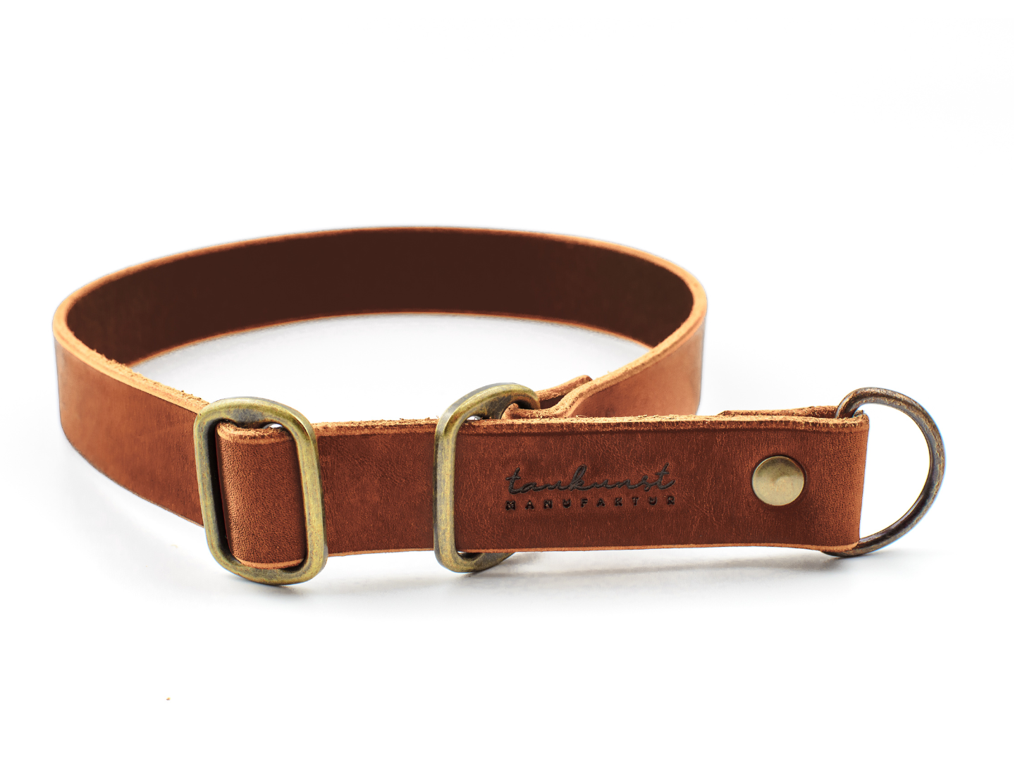 Zugstopp Hundehalsband Leder Resi