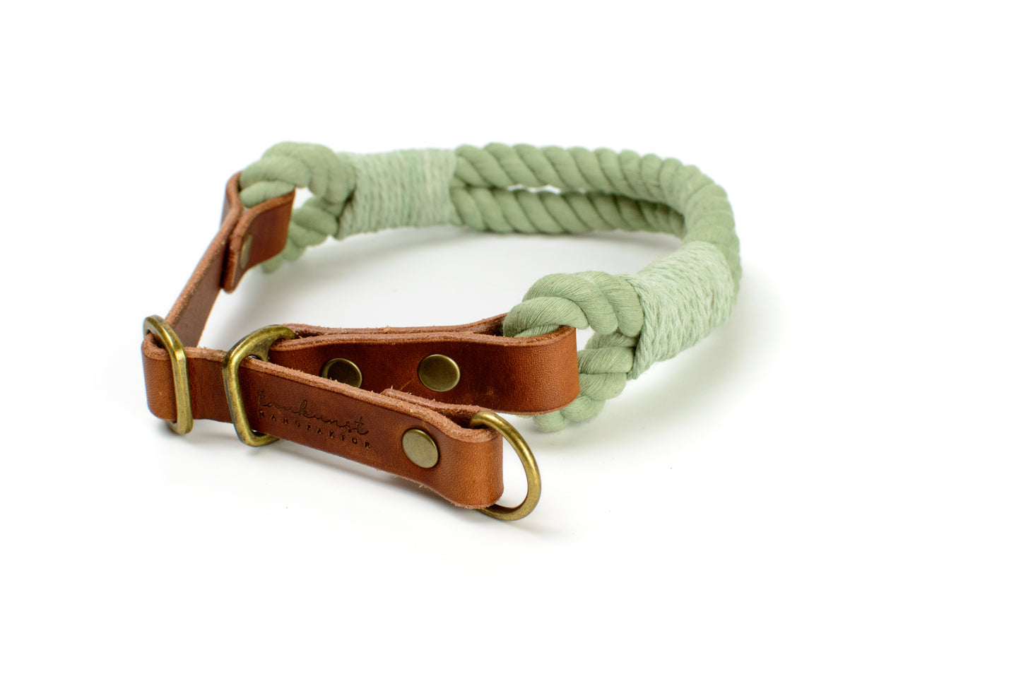 Zugstopp Hundehalsband Tau Basil